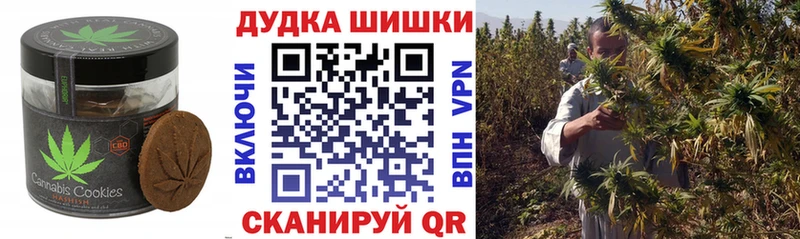 купить  цена  Цивильск  Cannafood конопля 