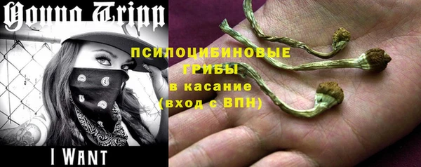 мдпв Нязепетровск